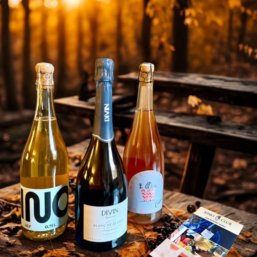 🍷 The JOMO Wine Club 🍷 | Subscribe & Save - Image 10